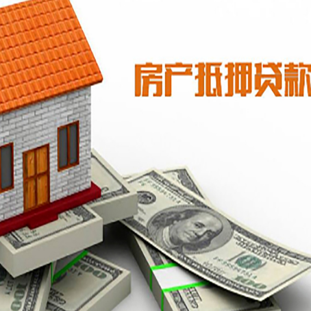 临高贷款公司新渝启服怎么选择